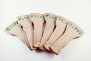 wild_weeds_stakes_back